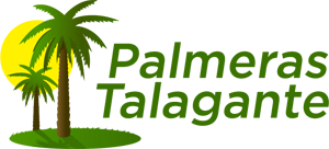 Palmeras Talagante Chile